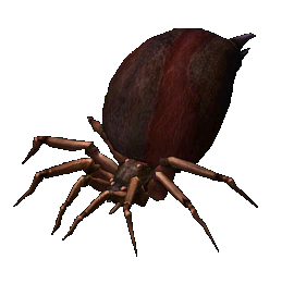 Evolved Ancient Spider