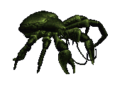 Hardened Crab