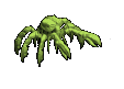 Crab
