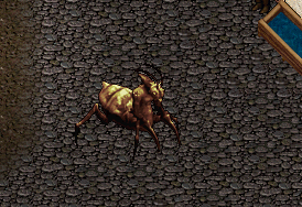 File:Mantis.png