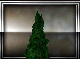 Tuscany Pine Tree