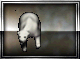 Ethereal Polar Bear