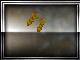 Sandals (golden)