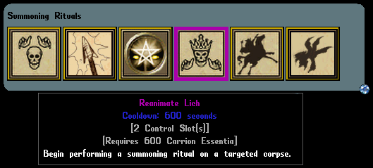 The Reanimate Lich Summoning Ritual for the Idol of Forbidden Magic.