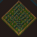 Thumbnail for version as of 16:56, 22 October 2023