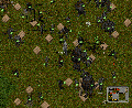 Thumbnail for version as of 11:01, 1 May 2020