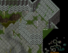 Level 1