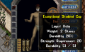 Thumbnail for version as of 12:10, 7 May 2023