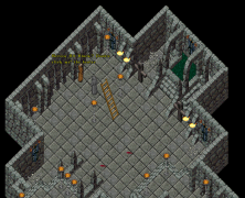 Inside Dungeon