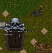 Plague Sample