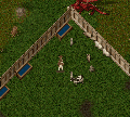 Thumbnail for version as of 01:56, 25 May 2024