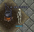 Thumbnail for version as of 11:47, 6 September 2019