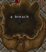 Breach