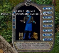 Example Armor