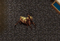 The mini mantis form, credit to Brock LS for the pic!