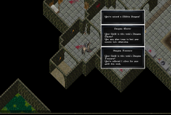 Entering a Militia Dungeon