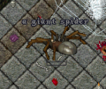 Thumbnail for version as of 14:45, 6 April 2021