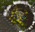Thumbnail for version as of 14:27, 3 August 2026