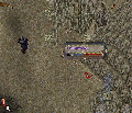 Thumbnail for version as of 21:10, 2 February 2015