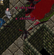 A Shielded
