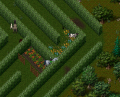 Thumbnail for version as of 21:29, 20 August 2022