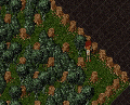 Thumbnail for version as of 13:38, 22 October 2023