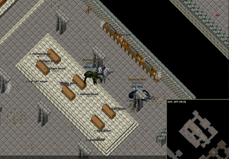 File:Yew crypt underground.png
