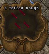 Forked Bough