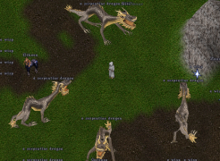 Serpentine Dragons