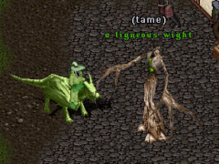 Wight