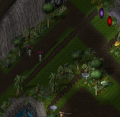 Thumbnail for version as of 21:20, 10 November 2023