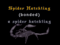 Thumbnail for version as of 11:24, 16 February 2016
