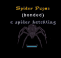 Thumbnail for version as of 11:22, 16 February 2016