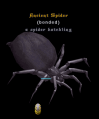 Thumbnail for version as of 11:22, 16 February 2016