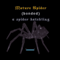 Thumbnail for version as of 11:22, 16 February 2016