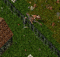Thumbnail for version as of 02:12, 25 May 2024