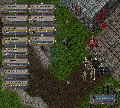 Thumbnail for version as of 03:02, 25 May 2024
