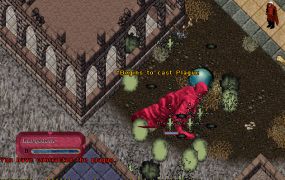 Plague