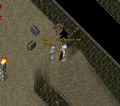 Thumbnail for version as of 16:22, 10 February 2017