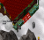 Festival Area