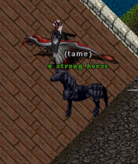 Strong Horse - Shadow Barding