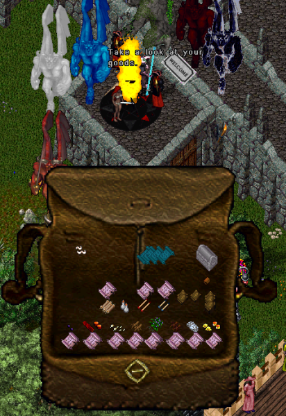 File:PlayerVendor1.png