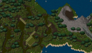 Jungle