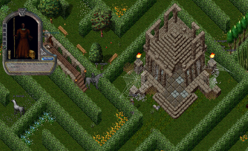 File:HedgeMazeLevelMazeWanderingHealer.PNG