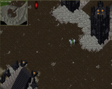 The Entrance to the Ward of the Asylum. Here you can find a moongate back to the Hedge Maze and an Ankh is here as well. Beware this is a no-mount area, however you may find that you will still be mounted for a short amount of time.