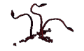 Thumbnail for version as of 14:11, 8 January 2017